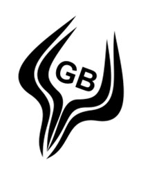LOGO_VS_145517