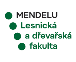 LOGO_VS_22210