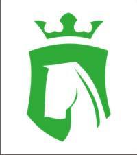 LOGO_VS_145589