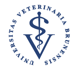 LOGO_VS_22026
