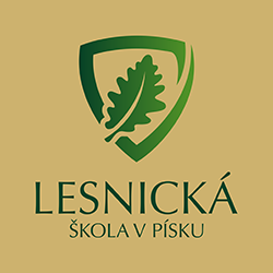 LOGO_VS_23375