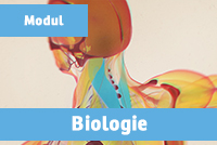 BIOLOGIE p��pravn� kurz 2026/27