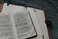 PR �l�nek Presto 12 2019 p�ekladatel �i tlumo�n�k